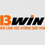 13windomains