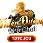 TDTC