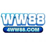 4ww88com