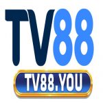 tv88you