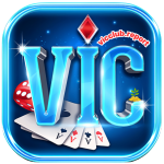 vicclubreport