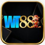 wt88info